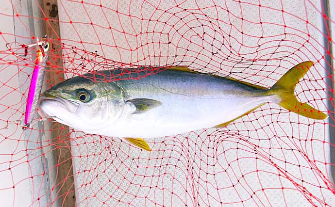 シーズン最後のジギング釣行でハマチをキャッチ！【明石沖】今シーズンは苦戦続き