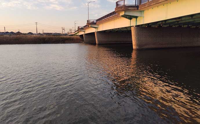 真冬のルアーシーバス釣行で50cm級が連発【千葉・養老川】バチ抜けを発見！