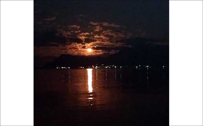 堤防での遠投カゴ釣りで35cm級イサキをキャッチ！　ゲストにマダイとアイゴ