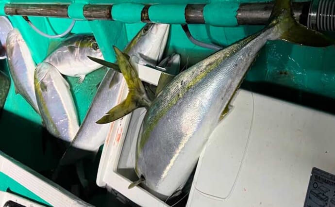 「寒ブリが大爆釣！」電気ブリ釣りでたった30分でクーラー満タンに【新潟・謙信丸】