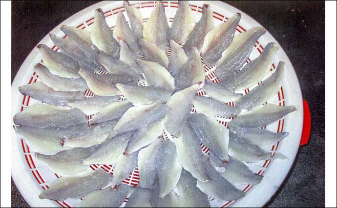 「小ダイ・カワハギ・クロダイ揃い踏み！」忠栄丸のウタセ五目釣りで五目成立【愛知】