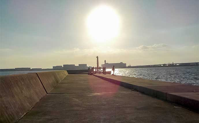 常滑港のウキダンゴ釣りでクロダイ・キビレが連発！【愛知】38cm筆頭にゲスト交えて39匹