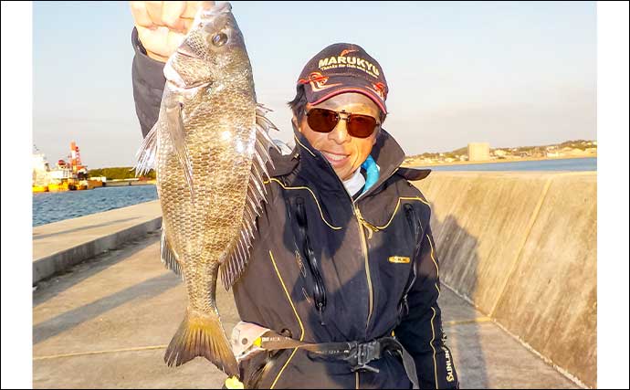 常滑港のウキダンゴ釣りでクロダイ・キビレが連発！【愛知】38cm筆頭にゲスト交えて39匹
