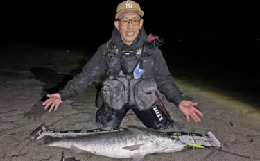 「オオニベ102cmが砂浜に降臨！」遠州灘サーフのルアーゲームでメータ…