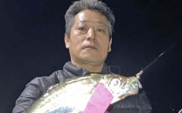 神前浦のアジングで24cm頭に中アジ好ヒット【三重】豆サイズから一気に…