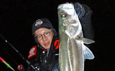 九頭竜川のリバーシーバスゲームで80cmランカー捕獲！【福井】細身ミノ…