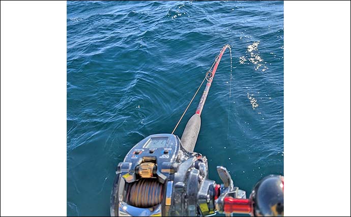 「浅場9mで訪れたチャンスをものに！」伊良湖沖の泳がせ釣りでヒラメ2匹手中【愛知】