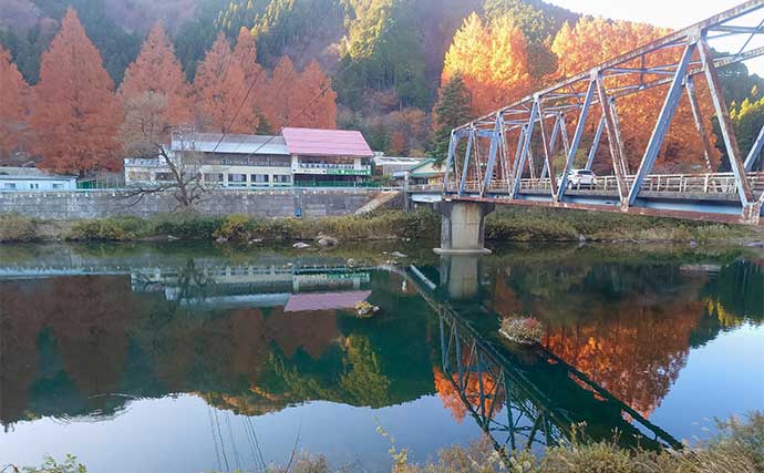 「上流へ走る巨体に耐え切った」ノベザオで85cm超え寒ゴイを手中【岐阜・郡上八幡】