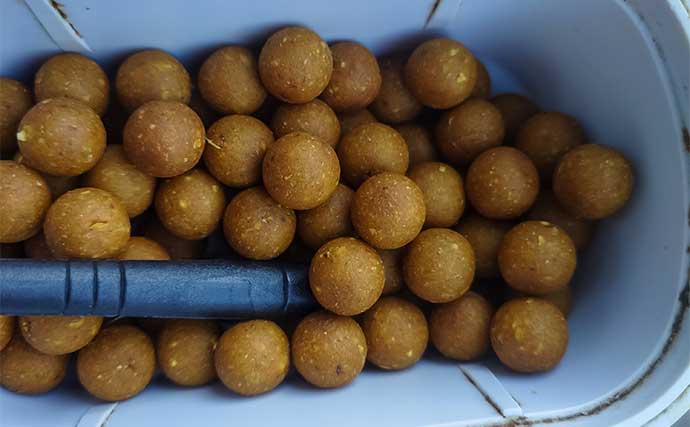 「上流へ走る巨体に耐え切った」ノベザオで85cm超え寒ゴイを手中【岐阜・郡上八幡】