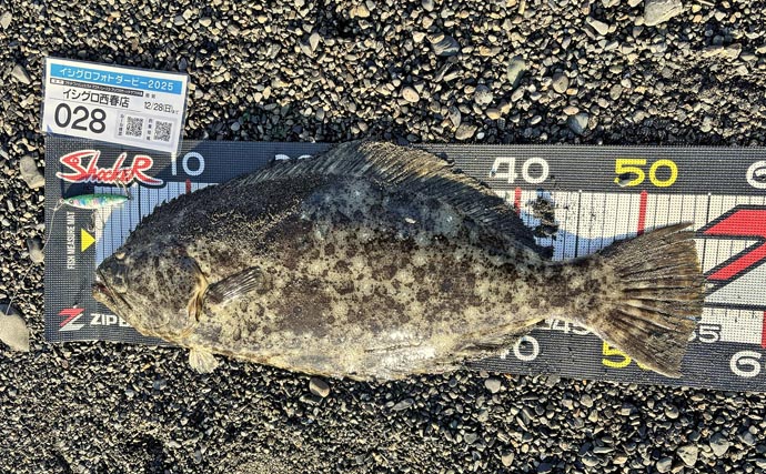 「ルアーロスト3連発から逆転！」三保海岸サーフゲームでヒラメ55cmをキャッチ【静岡】