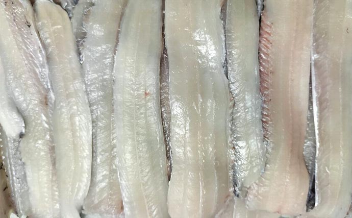 富山湾で旬本番のタチウオを食べ尽くす　刺し身から天ぷらまで絶品料理8選をご紹介