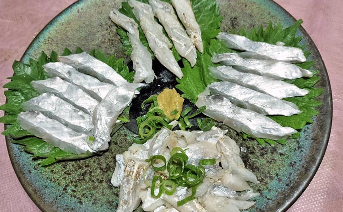 富山湾で旬本番のタチウオを食べ尽くす　刺し身から天ぷらまで絶品料理8選をご紹介