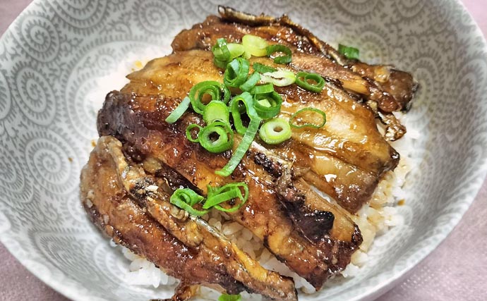 富山湾で旬本番のタチウオを食べ尽くす　刺し身から天ぷらまで絶品料理8選をご紹介