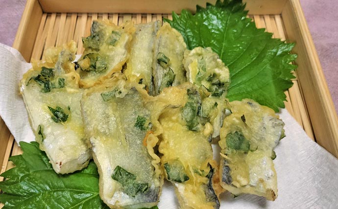 富山湾で旬本番のタチウオを食べ尽くす　刺し身から天ぷらまで絶品料理8選をご紹介