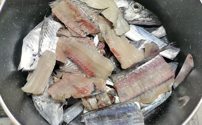 富山湾で旬本番のタチウオを食べ尽くす　刺し身から天ぷらまで絶品料理8選をご紹介