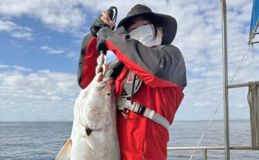 「ヒラメタックルが悲鳴」泳がせ釣りで104cm超オオニベを好捕！【山口…