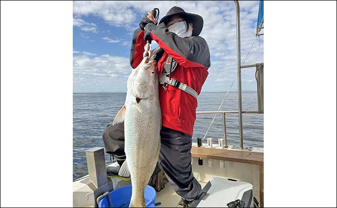 「ヒラメタックルが悲鳴」泳がせ釣りで104cm超オオニベを好捕！【山口・周防灘】