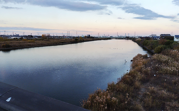 85cmランカー級シーバス獲った！【養老川】バチパターンが的中で本命連発