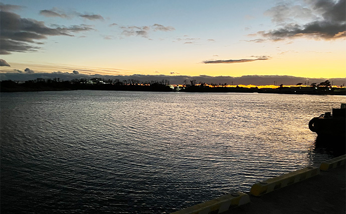 寒波到来＆暴風の浜名湖でダイソージグサビキを投げてみた　ヒイラギ入れ掛かりの謎