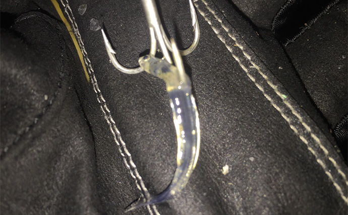 冬の河川でもシーバスは釣れる！ 【狙うべきポイント・条件・注意点を解説】