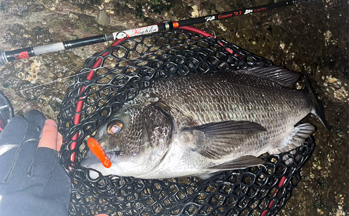 夜の磯でのライトルアー釣行でクロダイにシーバスが連発！【北九州】プラグに好反応
