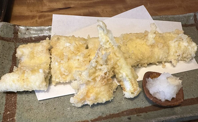 庶民の味だった＜アナゴ＞が高級魚になったワケ　未だ謎が多い生活史とは？