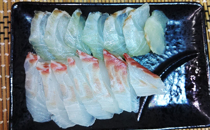 「遠投カゴ釣りデビューしてみた！」2回目の堤防釣行で37cmイサキをキャッチ【和歌山】