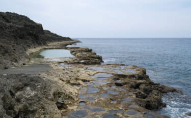 「吸盤を持つゴカイ」に「光るスナギンチャク」　南大東島の深海で発見され…