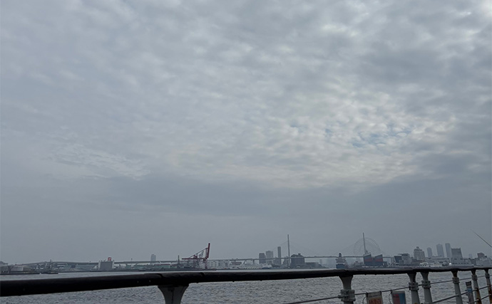 アジとメバルの「プランクトンパターン」を理解しよう　発生の条件とは？