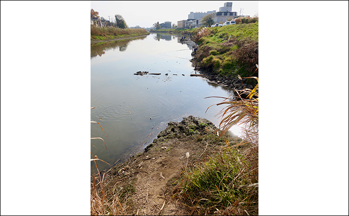 今週のヘラブナ推薦釣り場【埼玉県・大落古利根川】