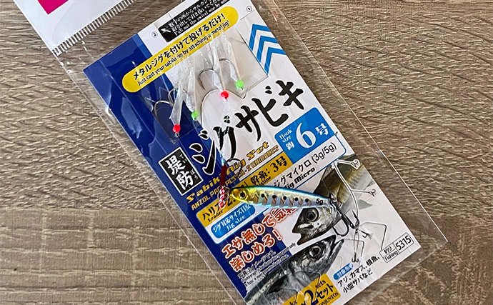 寒波到来＆暴風の浜名湖でダイソージグサビキを投げてみた　ヒイラギ入れ掛かりの謎
