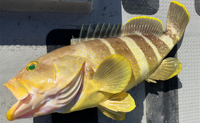 「釣りの聖地」五島列島遠征ルアー釣行で11kgヒラマサ登場　キャスティングにヒット