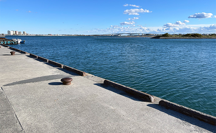 寒波到来＆暴風の浜名湖でダイソージグサビキを投げてみた　ヒイラギ入れ掛かりの謎