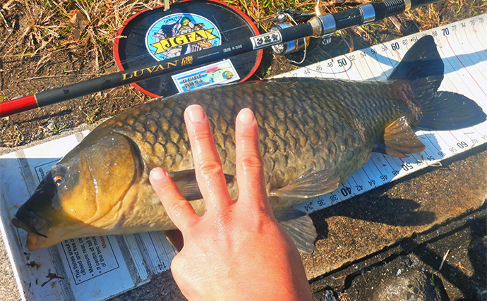 荒川ハクレン釣りで92cm頭に良型2尾手中！【埼玉】 高活性のボラにはお手上げ？