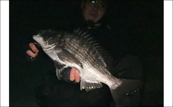 夜の磯でのライトルアー釣行でクロダイにシーバスが連発！【北九州】プラグに好反応