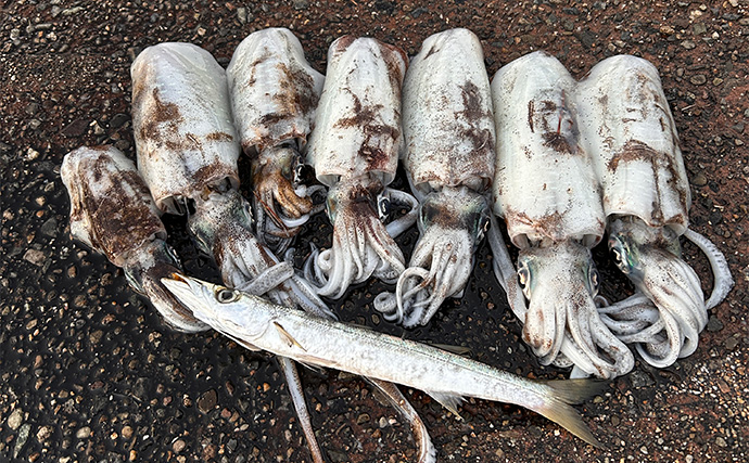 ヤエン釣りで1日中アオリイカがアタリっぱなし！【福井】水中はまだまだシーズン盛期？