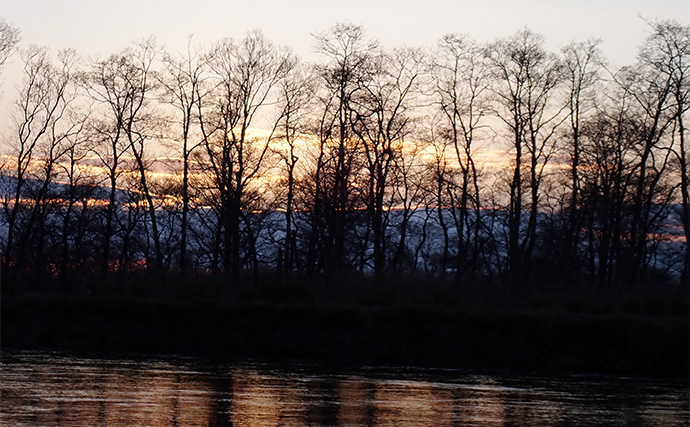 釧路湿原で「幻の魚」イトウを追う　静けさが支配する大自然をカヌーで進む