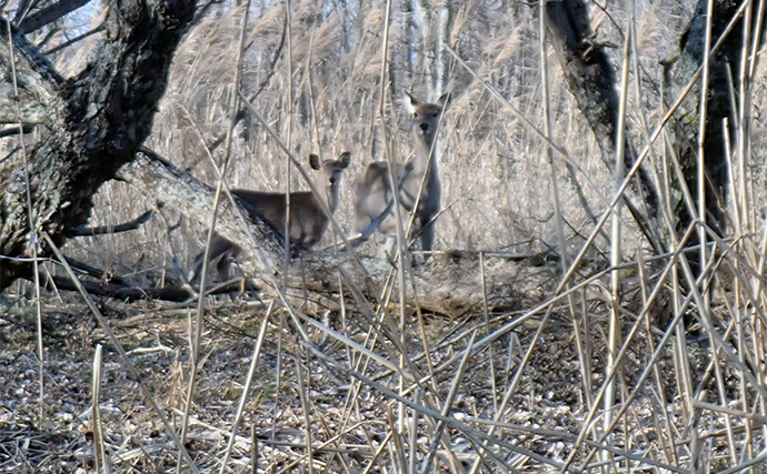 釧路湿原で「幻の魚」イトウを追う　静けさが支配する大自然をカヌーで進む