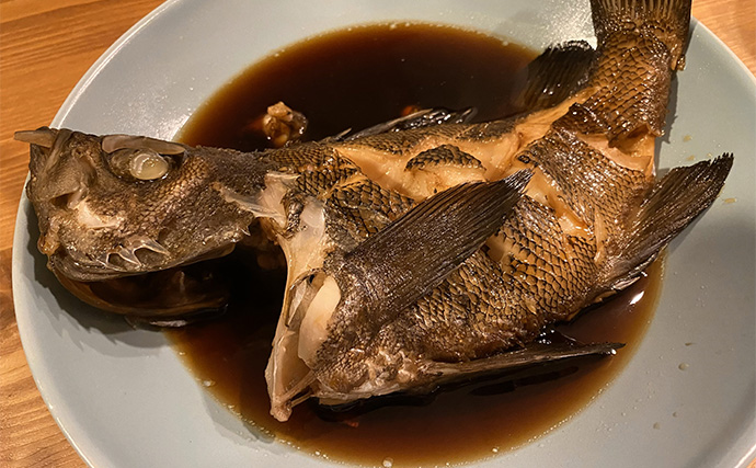 初心者にもオススメ！ 【真冬の堤防で釣ることができる美味しいサカナ4選】