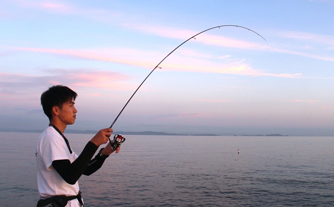 「遠投・感度・操作性の三拍子が揃った！」26コルトで沖堤アジングを攻略成功【兵庫・志筑一文字】