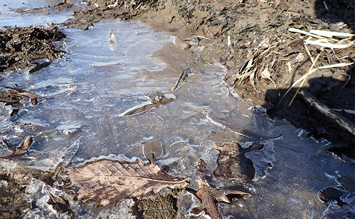 釧路湿原で「幻の魚」イトウを追う　静けさが支配する大自然をカヌーで進む