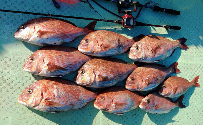 「串本カセ釣りのポテンシャルが炸裂！」 40〜60cmの良型マダイ16匹と大爆釣
