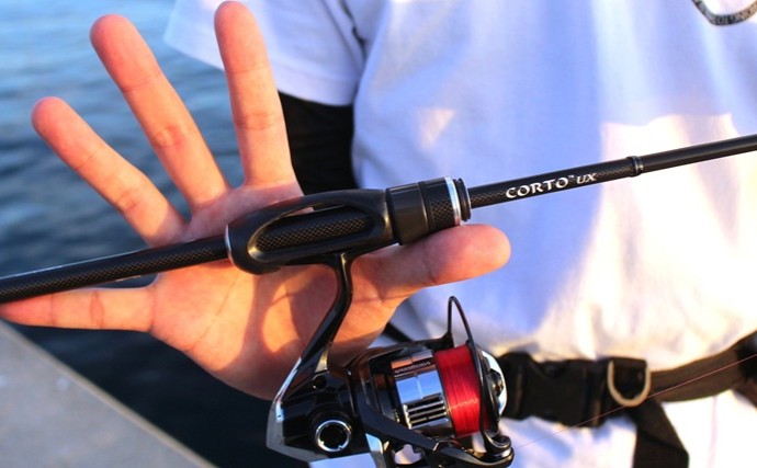 「遠投・感度・操作性の三拍子が揃った！」26コルトで沖堤アジングを攻略成功【兵庫・志筑一文字】