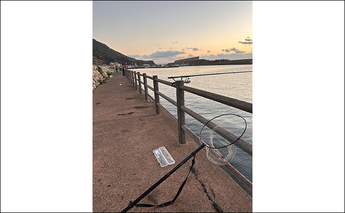 ヤエン釣りで1日中アオリイカがアタリっぱなし！【福井】水中はまだまだシーズン盛期？