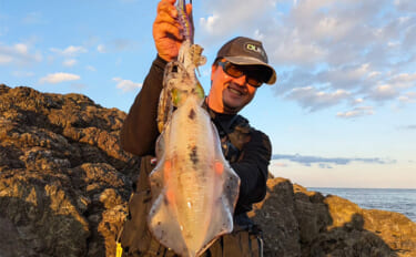 【冬エギング攻略法】アオリイカの捕食タイミング・居場所を予測して釣果に…