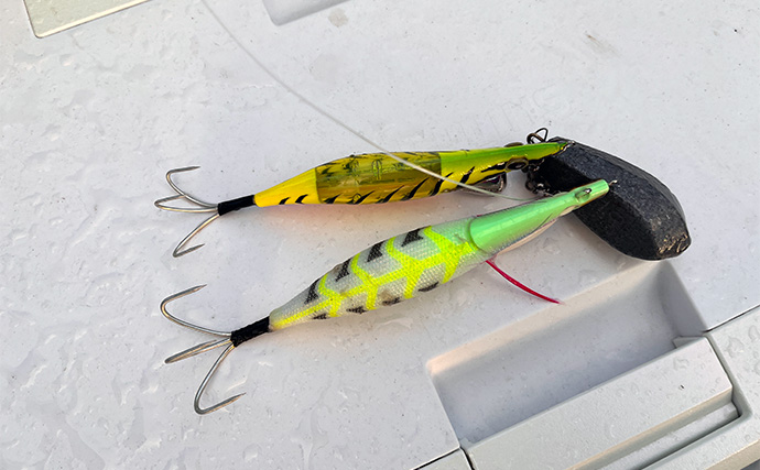 【鈴木斉プロ解説】常磐沖・渡りタコのヒット率アップ術 「エサの有無よりエギサイズが重要？」