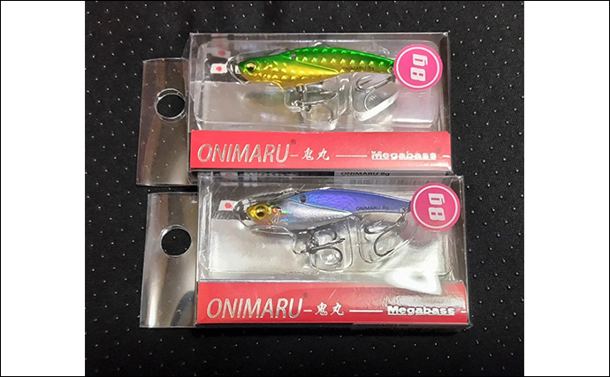 真冬のデイシーバスゲーム攻略の極意　「浅場のボトム」を狙うべし！