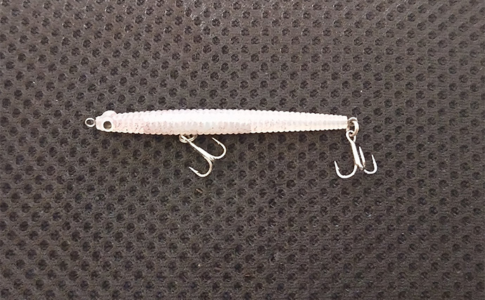 85cmランカー級シーバス獲った！【養老川】バチパターンが的中で本命連発