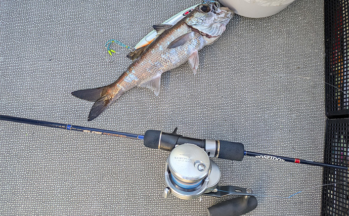 志摩沖の中深海ジギングで良型クロムツが連発！【へいみつ丸】ステイパターンが的中