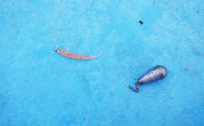 「何もしない」が正解！ 東京湾バチコンアジングでアジ115匹と入れ食い堪能【千葉・栄宝丸】